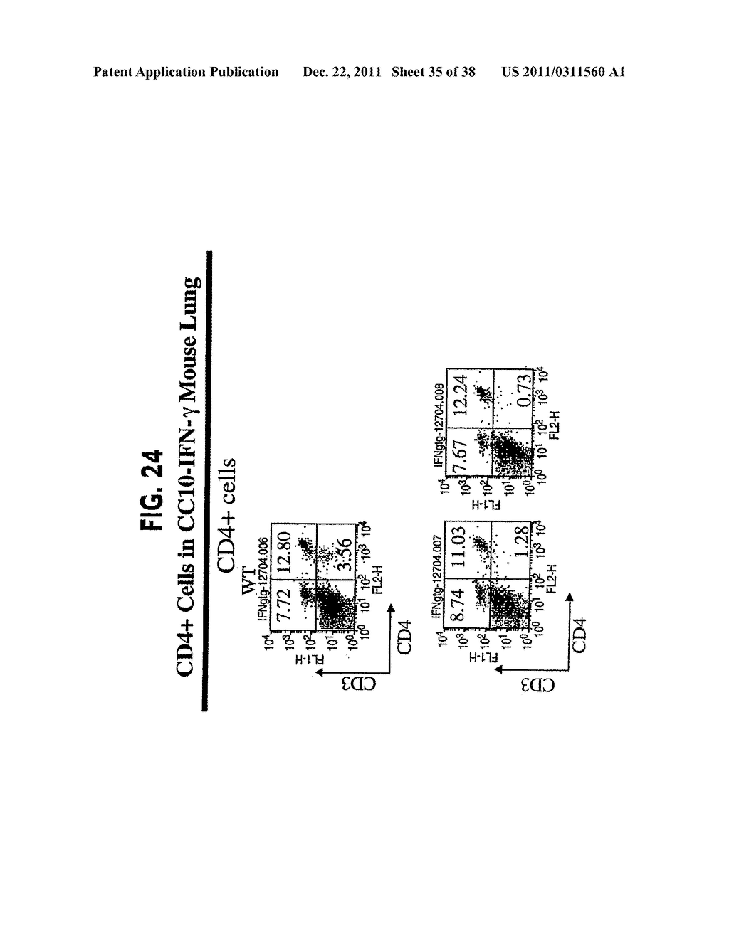 Methods and Compositions Relating to CCR5 Antagonist, IFN-Gamma and IL-13     Induced Inflammation - diagram, schematic, and image 36