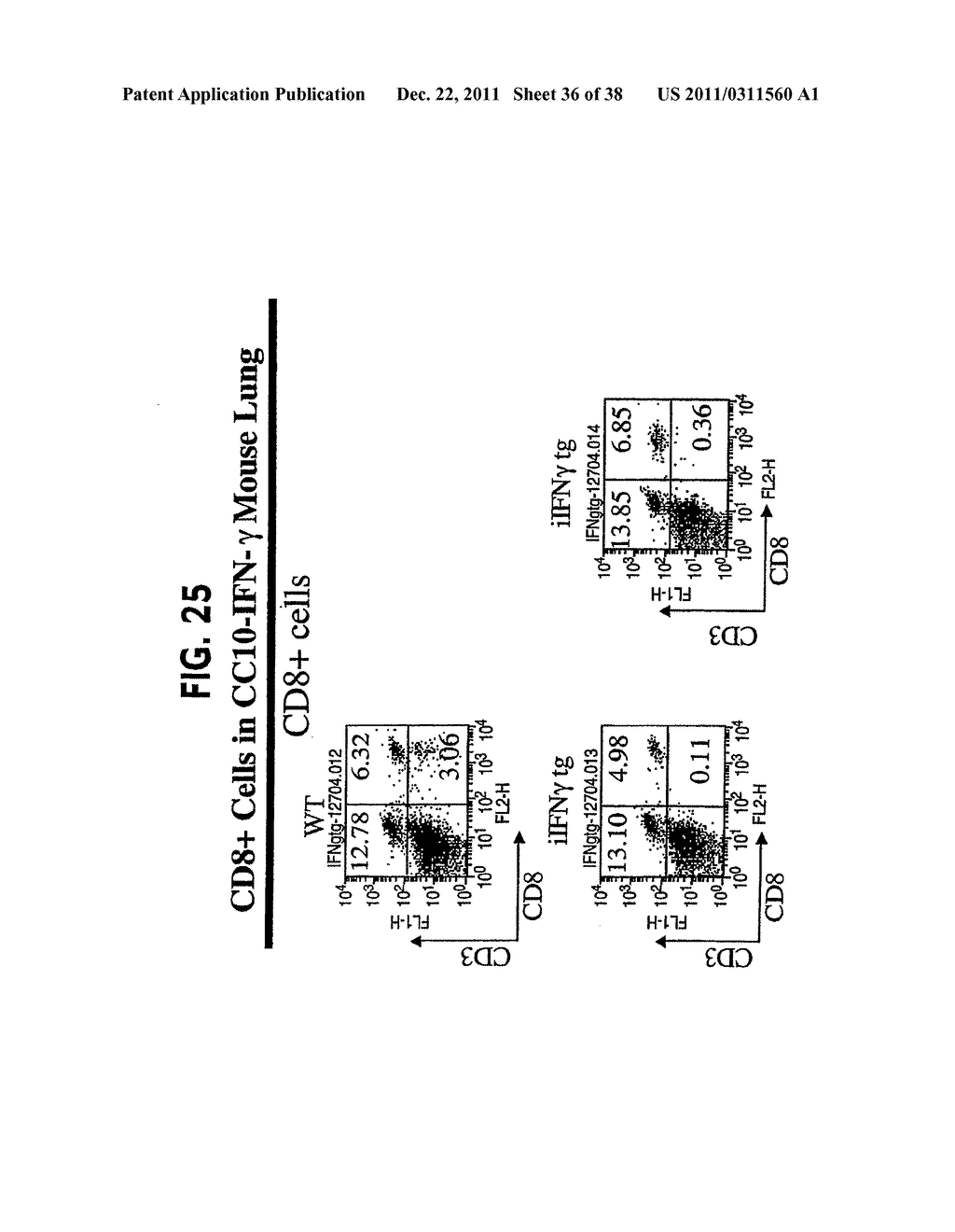Methods and Compositions Relating to CCR5 Antagonist, IFN-Gamma and IL-13     Induced Inflammation - diagram, schematic, and image 37