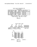 Phage Constructs, Sequences and Antigenic Compositions for     Immunocontraception of Animals diagram and image