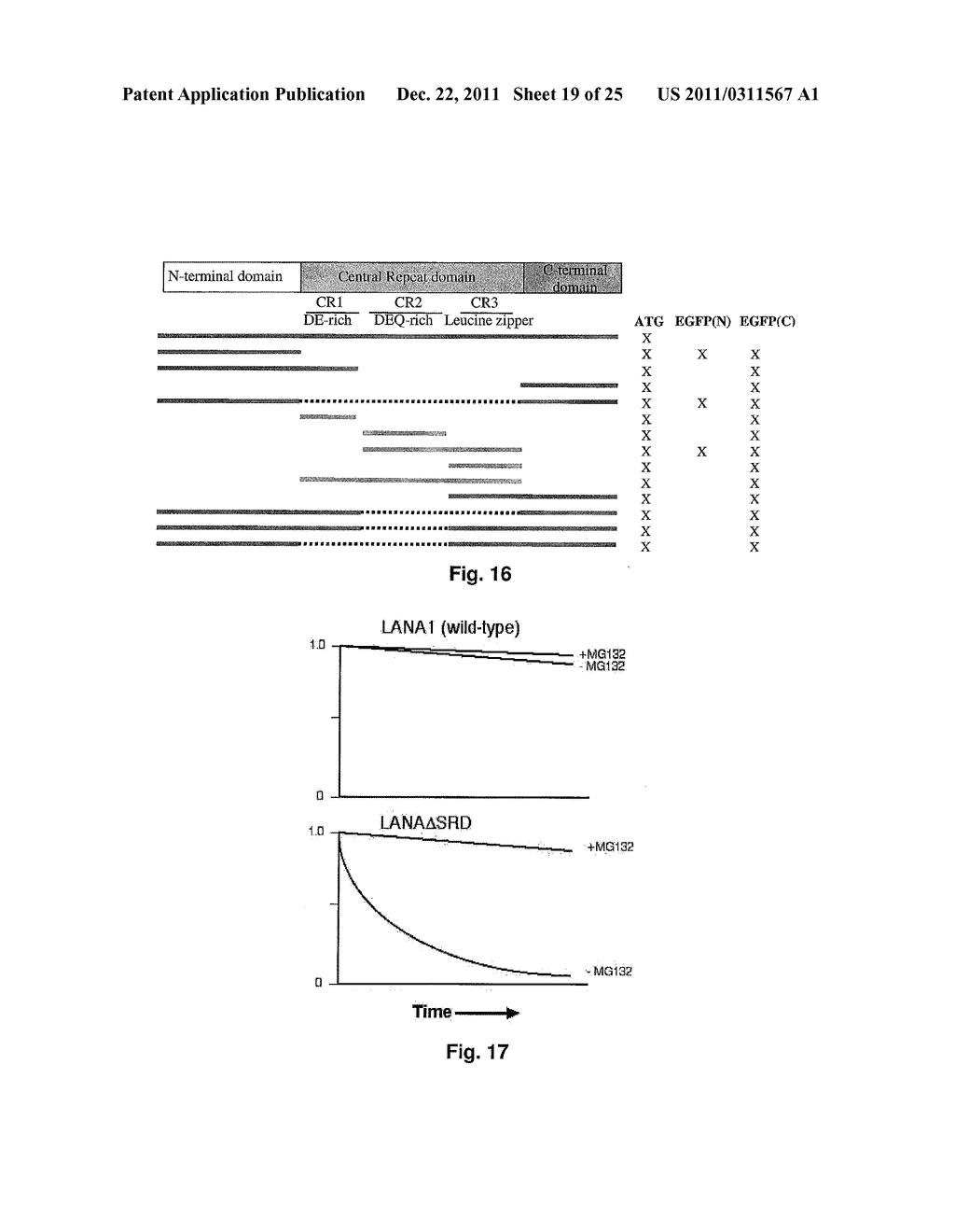 Immunogenically-Enhanced Polypeptides and Related Methods - diagram, schematic, and image 20