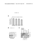 METHODS AND COMPOSITIONS FOR TREATING AND PREVENTING MALARIA USING AN     INVASION LIGAND DIRECTED TO A PROTEASE-RESISTANT RECEPTOR diagram and image