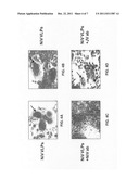 Fusogenic virus-like particles and uses thereof diagram and image