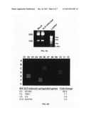 Fusogenic virus-like particles and uses thereof diagram and image