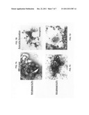 Fusogenic virus-like particles and uses thereof diagram and image