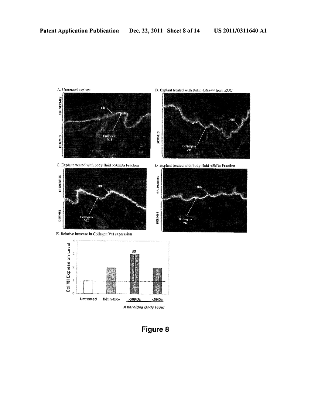 COSMETIC COMPOSITIONS COMPRISING ASTEROIDEA BODY FLUID AND METHODS OF USE     THEREOF - diagram, schematic, and image 09