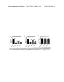 USE OF NITRITE SALTS IN CHRONIC ISCHEMIA diagram and image