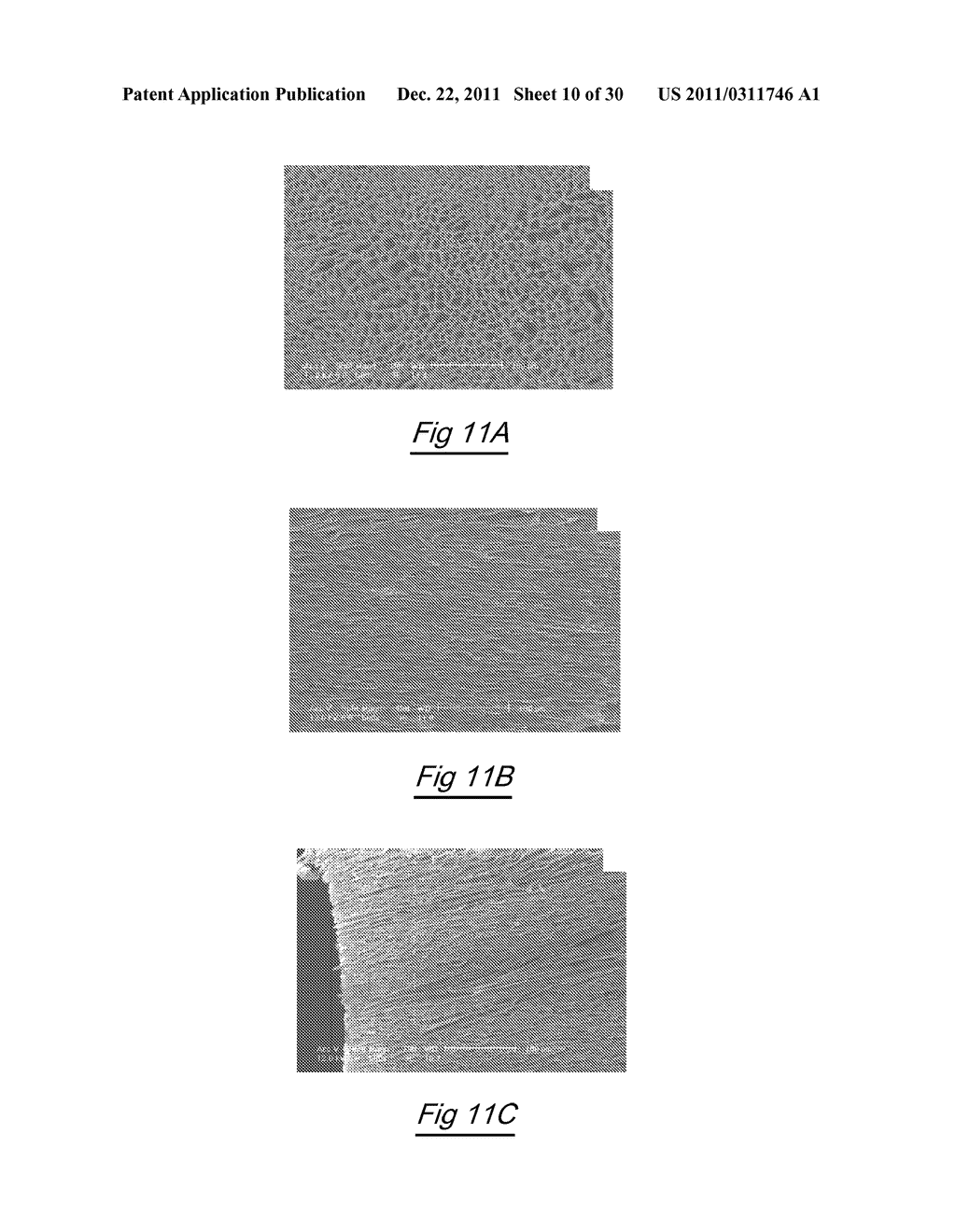 SCAFFOLDS AND METHODS OF FORMING THE SAME - diagram, schematic, and image 11