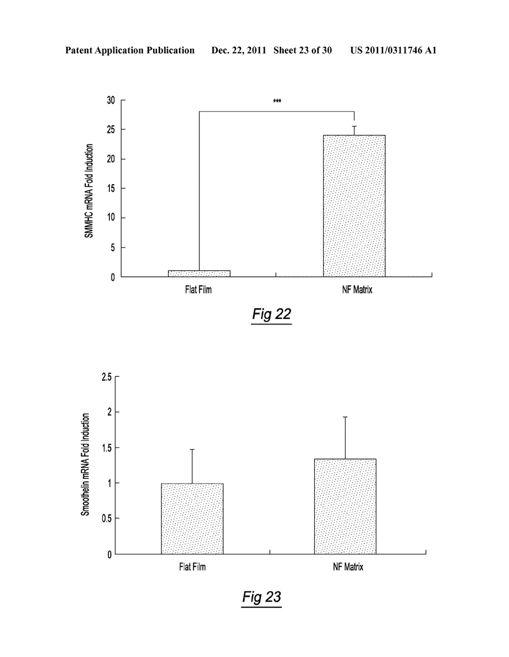 SCAFFOLDS AND METHODS OF FORMING THE SAME - diagram, schematic, and image 24