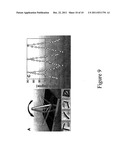 SYSTEM AND METHOD FOR PRECISION TRANSPORT, POSITIONING, AND ASSEMBLING OF     LONGITUDINAL NANO-STRUCTURES diagram and image