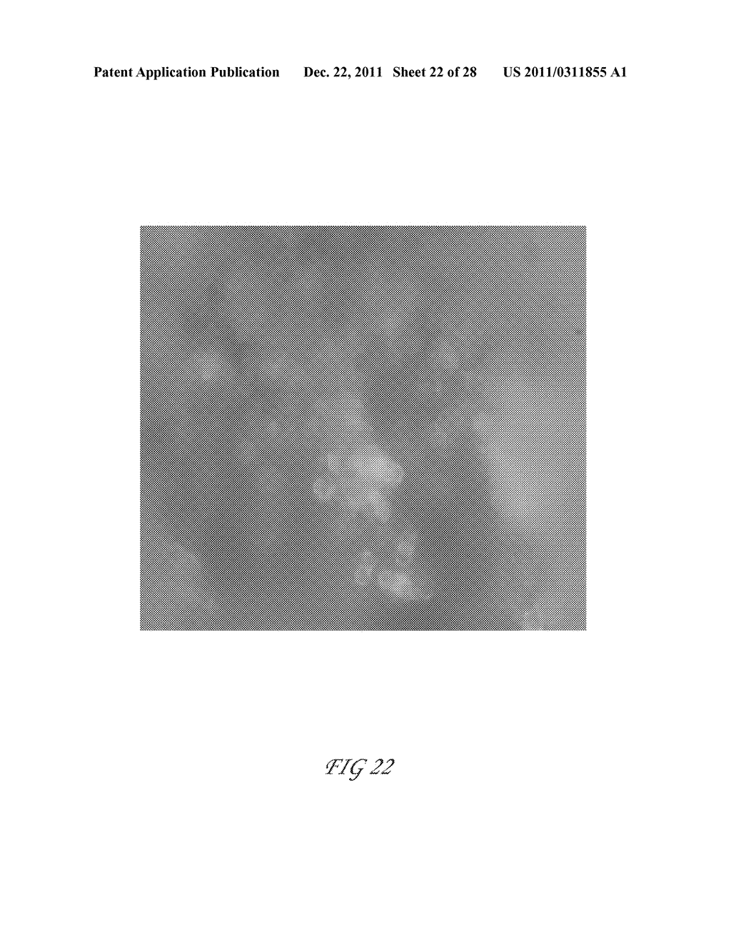 Methods and systems for making separators and devices arising therefrom - diagram, schematic, and image 23