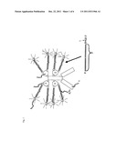 DETECTION CONJUGATE AND METHOD FOR ANALYSIS diagram and image