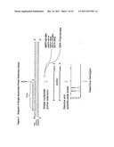 Novel Single Nucleotide Polymorphisms and Combinations of Novel and Known     Polymorphisms for Determining the Allele-Specific Expression of the IGF2     Gene diagram and image