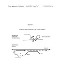 Allele-Specific Amplification of Nucleic Acids diagram and image