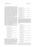 PRIMERS FOR USE IN DETECTING BETA-LACTAMASES diagram and image