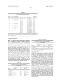 PRIMERS FOR USE IN DETECTING BETA-LACTAMASES diagram and image