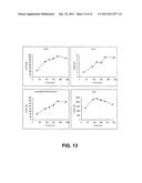 In Vitro Generation of Hepatocytes from Human Embryonic Stem Cells diagram and image