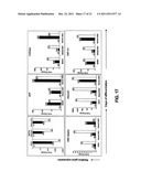 In Vitro Generation of Hepatocytes from Human Embryonic Stem Cells diagram and image