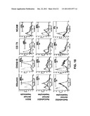 In Vitro Generation of Hepatocytes from Human Embryonic Stem Cells diagram and image