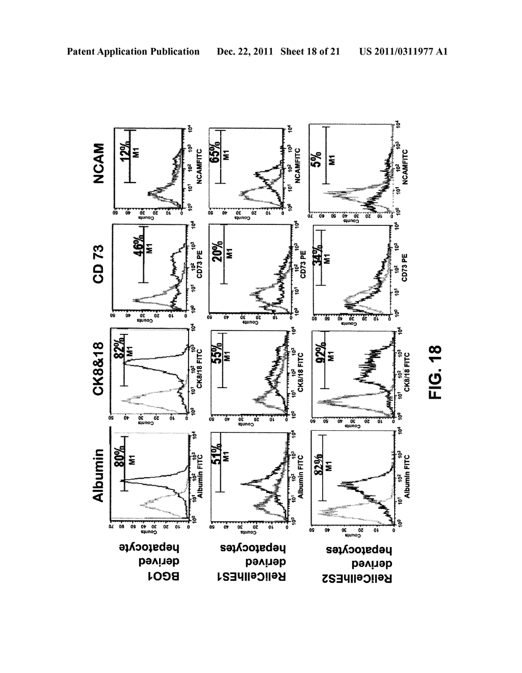 In Vitro Generation of Hepatocytes from Human Embryonic Stem Cells - diagram, schematic, and image 19