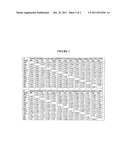 DNA POLYMERASES WITH INCREASED  3 -MISMATCH DISCRIMINATION diagram and image