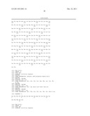 DNA POLYMERASES WITH INCREASED  3 -MISMATCH DISCRIMINATION diagram and image