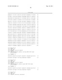 DNA POLYMERASES WITH INCREASED  3 -MISMATCH DISCRIMINATION diagram and image