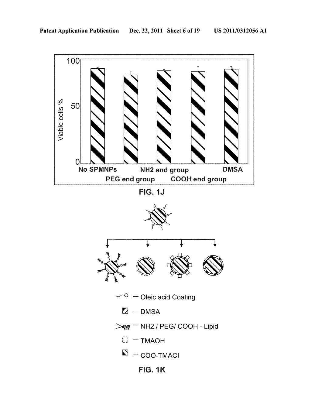 Plasma Membrane Isolation - diagram, schematic, and image 07