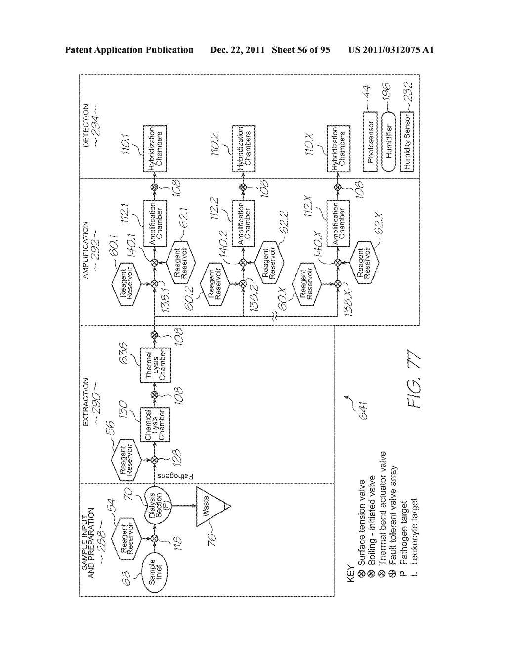 LOC DEVICE WITH PARALLEL INCUBATION AND PARALLEL DNA AND RNA AMPLIFICATION     FUNCTIONALITY - diagram, schematic, and image 57