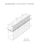 MICROFLUIDIC DEVICE FOR DETECTING TARGET NUCLEIC ACID SEQUENCES IN     MITOCHONDRIAL DNA diagram and image