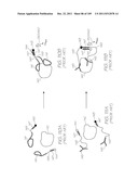 MICROFLUIDIC DEVICE FOR DETECTING TARGET NUCLEIC ACID SEQUENCES IN     MITOCHONDRIAL DNA diagram and image