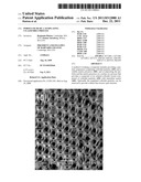 POROUS FILMS BY A TEMPLATING CO-ASSEMBLY PROCESS diagram and image