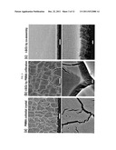 POROUS FILMS BY A TEMPLATING CO-ASSEMBLY PROCESS diagram and image