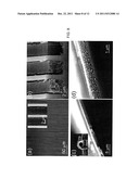 POROUS FILMS BY A TEMPLATING CO-ASSEMBLY PROCESS diagram and image