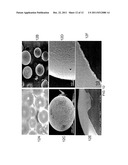 POROUS FILMS BY A TEMPLATING CO-ASSEMBLY PROCESS diagram and image