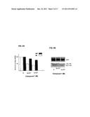 COMPOSITIONS AND METHODS FOR PREVENTION AND TREATMENT OF AMYLOID-BETA     PEPTIDE-RELATED DISORDERS diagram and image