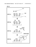 IMMUNOASSAY METHOD diagram and image