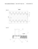 CULTURE SYSTEM AND METHOD FOR IMMUNOGENICITY AND IMMUNOFUNCTION TESTING IN     VITRO diagram and image