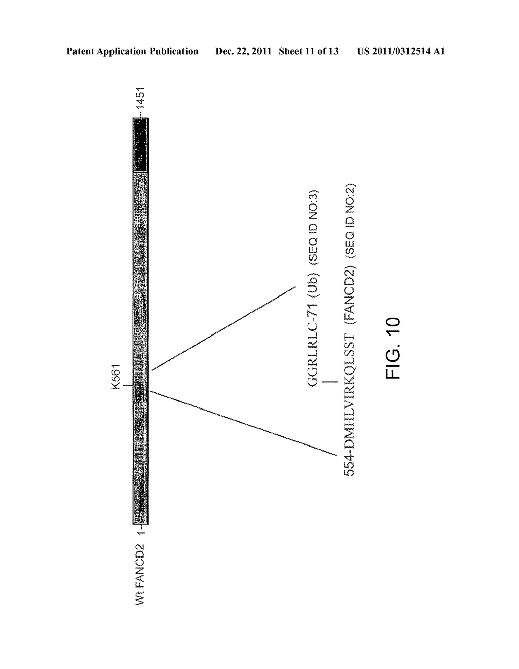 Method For Determination And Quantification Of Radiation Or Genotoxin     Exposure - diagram, schematic, and image 12