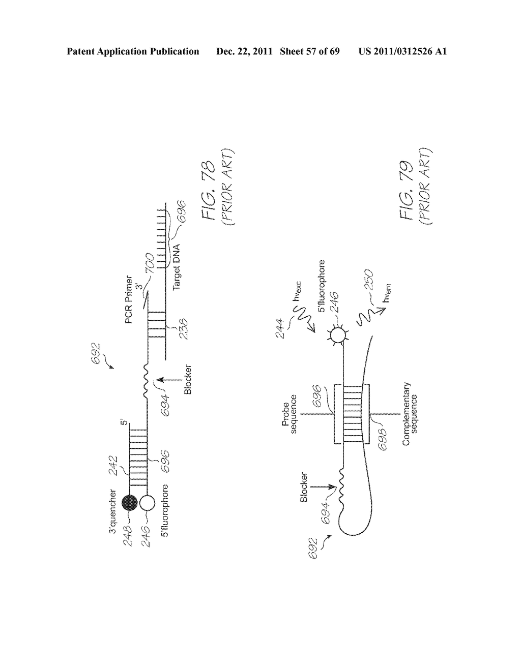 METHOD OF ANALYSING THE NUCLEIC ACID CONTENT OF A BLOOD SAMPLE - diagram, schematic, and image 58