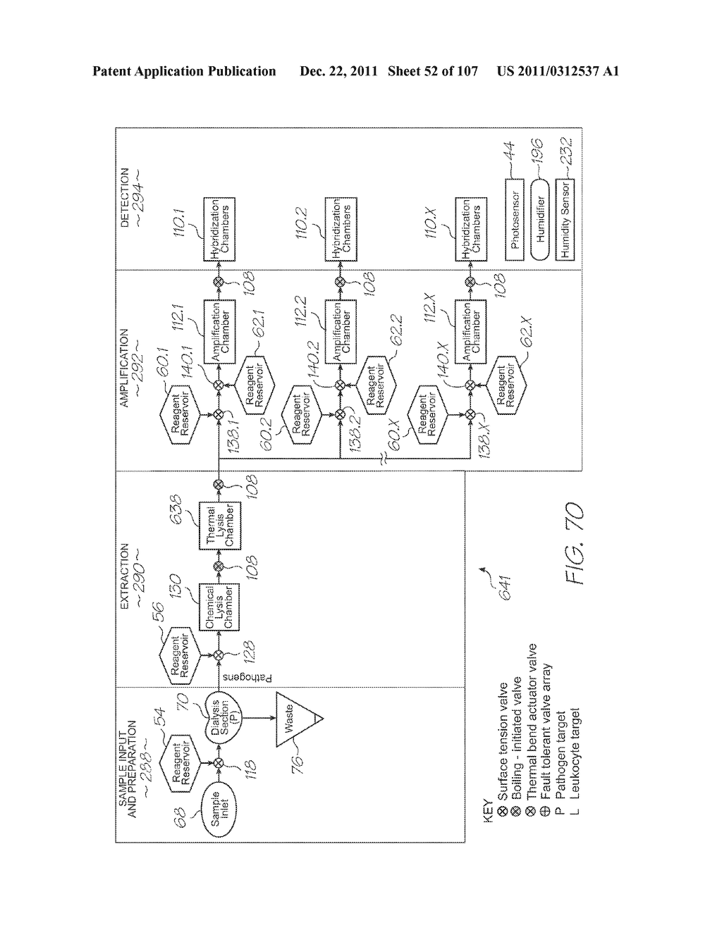 LOC DEVICE FOR AMPLIFYING AND DETECTING TARGET NUCLEIC ACID SEQUENCES     USING ELECTROCHEMILUMINESCENT RESONANT ENERGY TRANSFER, LINEAR PROBES     WITH COVALENTLY ATTACHED PRIMERS - diagram, schematic, and image 53