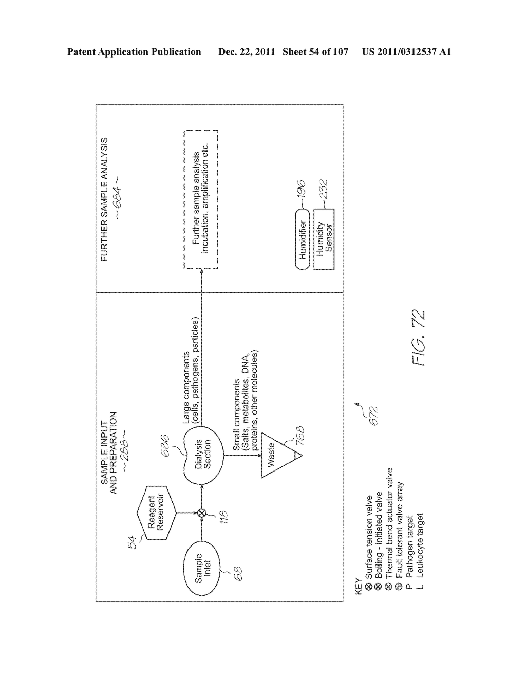 LOC DEVICE FOR AMPLIFYING AND DETECTING TARGET NUCLEIC ACID SEQUENCES     USING ELECTROCHEMILUMINESCENT RESONANT ENERGY TRANSFER, LINEAR PROBES     WITH COVALENTLY ATTACHED PRIMERS - diagram, schematic, and image 55