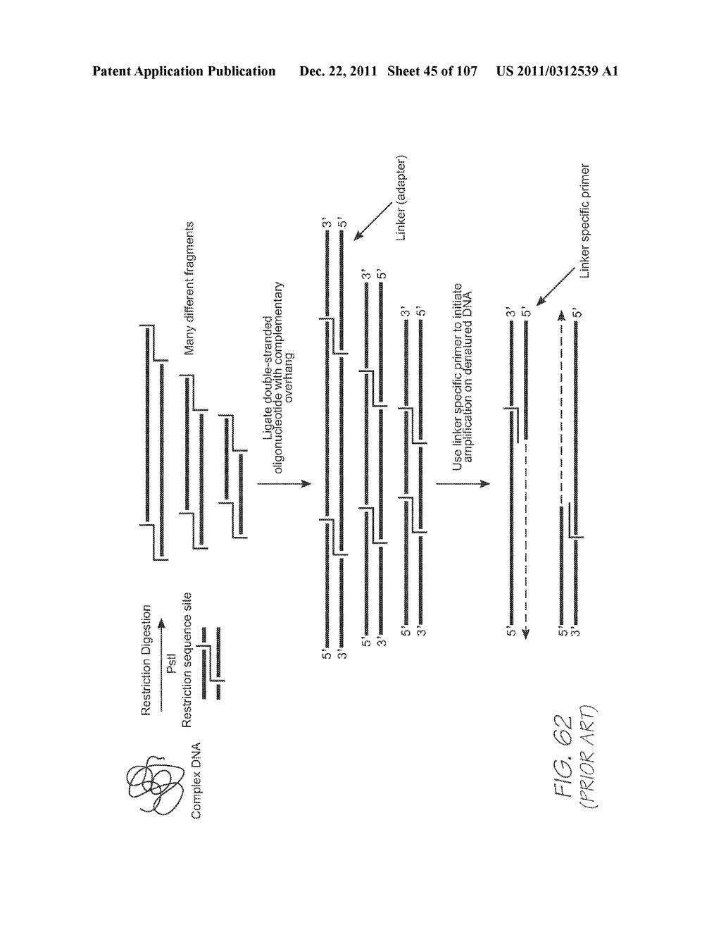 LOC DEVICE WITH ELECTROCHEMILUMINESCENT PROBES FOR DETECTING TARGETS IN A     FLUID AND A POSITIVE CONTROL PROBE WITHOUT A QUENCHER FOR LUMINOPHORE     EMISSIONS - diagram, schematic, and image 46