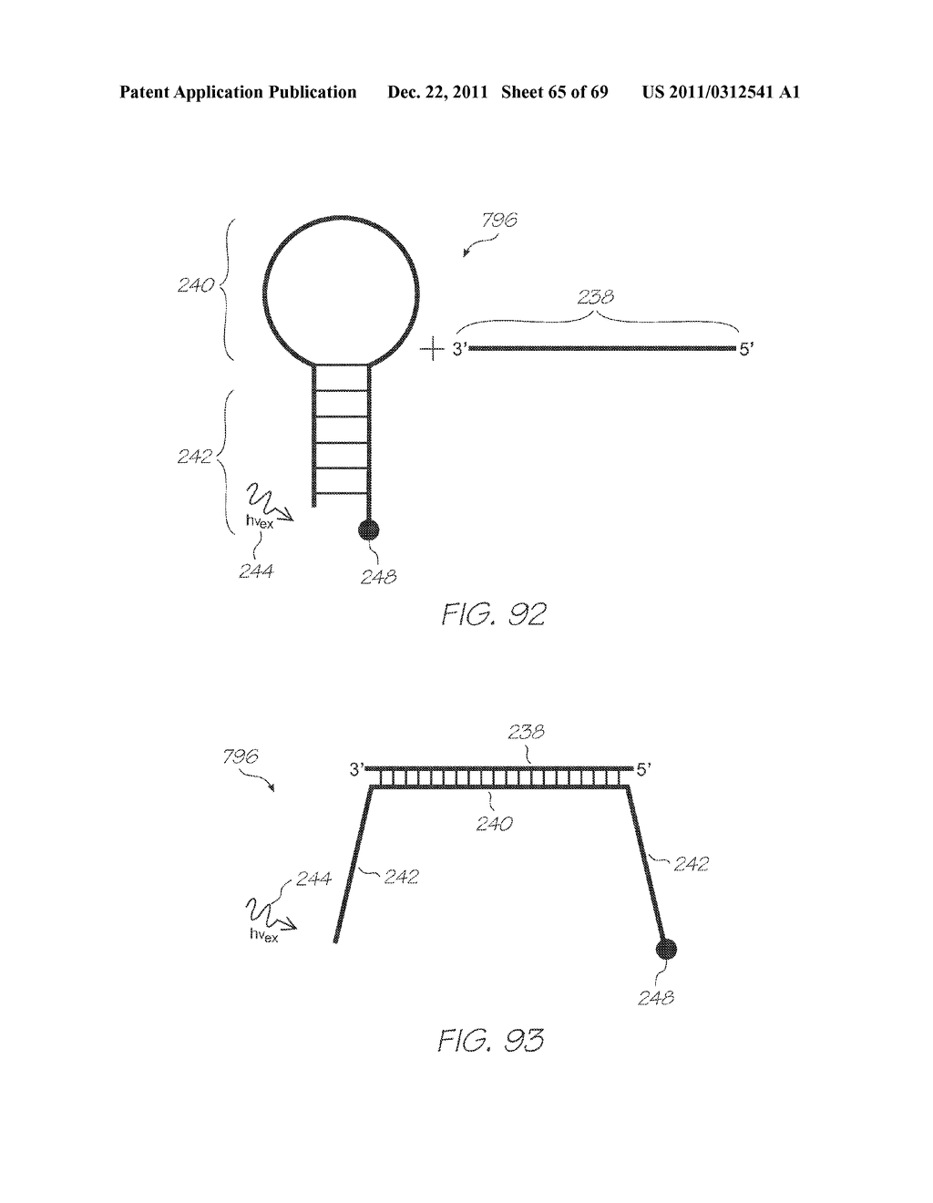 LOC FOR DETECTION OF HYBRIDIZATION OF NUCLEIC ACID SEQUENCES WITH     PRIMER-LINKED LINEAR PROBES - diagram, schematic, and image 66