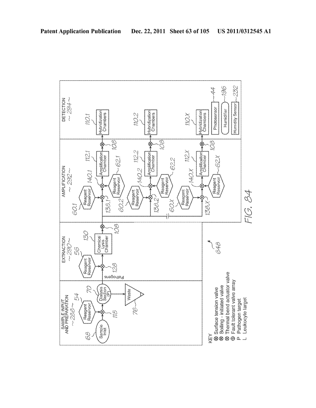 LOC DEVICE FOR PATHOGEN DETECTION WITH DIALYSIS, CHEMICAL LYSIS AND TANDEM     NUCLEIC ACID AMPLIFICATION - diagram, schematic, and image 64