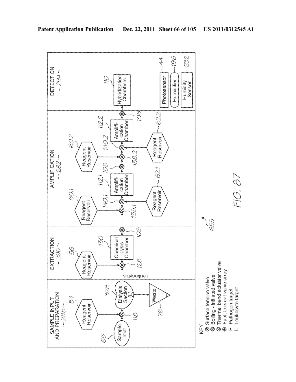 LOC DEVICE FOR PATHOGEN DETECTION WITH DIALYSIS, CHEMICAL LYSIS AND TANDEM     NUCLEIC ACID AMPLIFICATION - diagram, schematic, and image 67