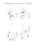 LOC DEVICE FOR GENETIC ANALYSIS WHICH PERFORMS NUCLEIC ACID AMPLIFICATION     AFTER SAMPLE PREPARATION IN A DIALYSIS SECTION diagram and image