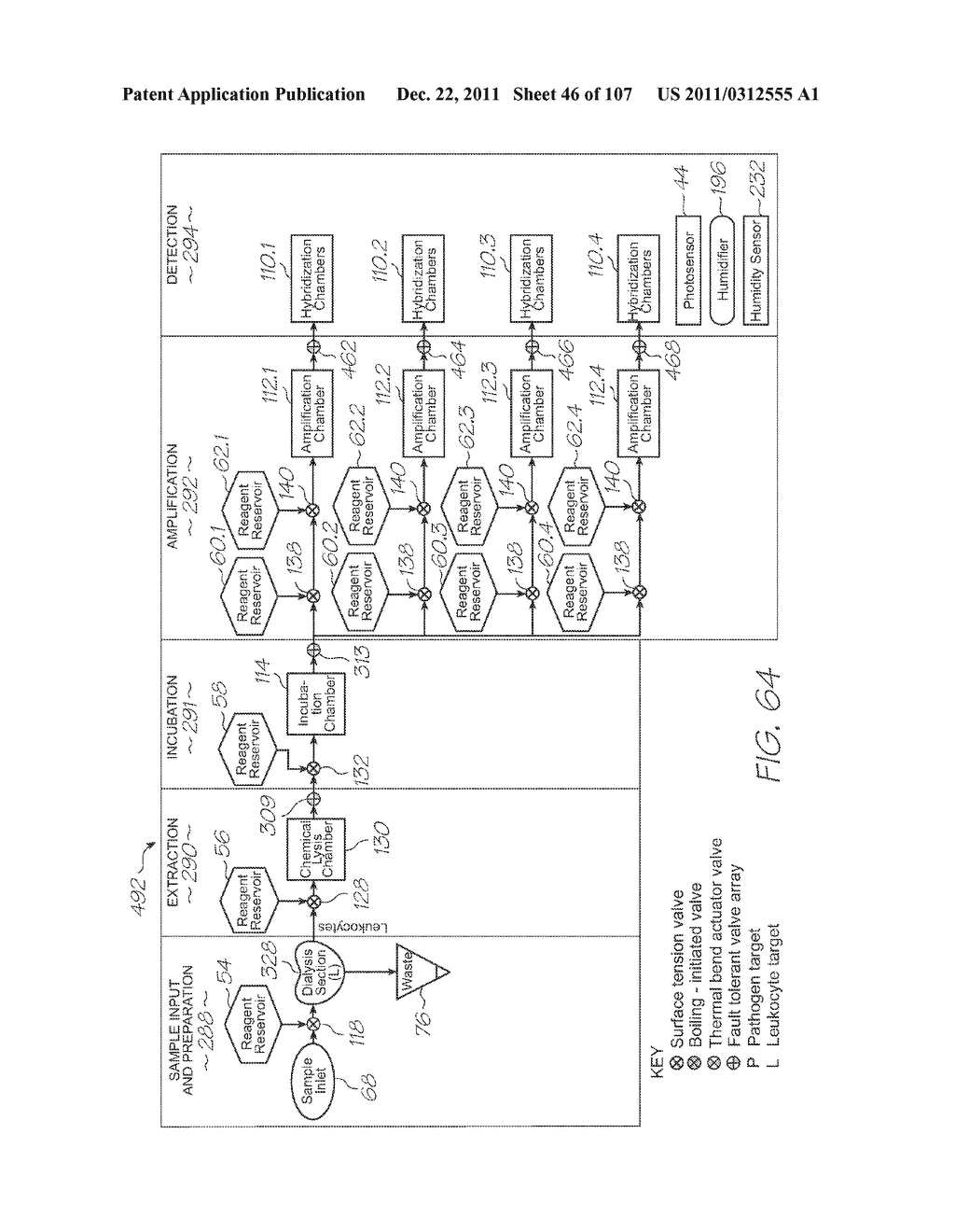 LOC DEVICE FOR DETECTING HYBRIDIZATION OF TARGET NUCLEIC ACID SEQUENCES     WITH ELECTROCHEMILUMINESCENT RESONANT ENERGY TRANSFER, PRIMER-LINKED,     STEM-AND-LOOP PROBES - diagram, schematic, and image 47