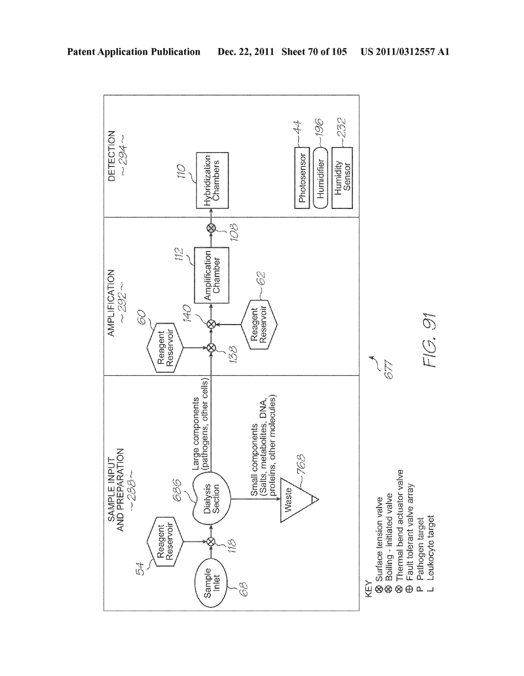 LOC DEVICE FOR PATHOGEN DETECTION WITH DIALYSIS, LYSIS AND PARALLEL     NUCLEIC ACID AMPLIFICATION - diagram, schematic, and image 71