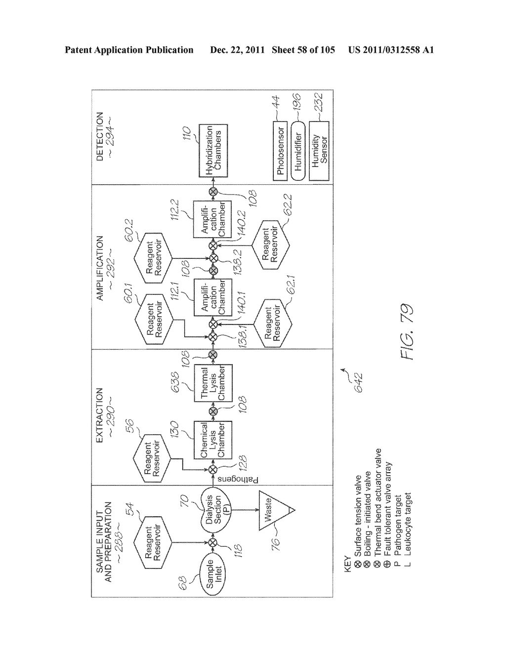 LOC DEVICE FOR PATHOGEN DETECTION WITH DIALYSIS, LYSIS AND TANDEM NUCLEIC     ACID AMPLIFICATION - diagram, schematic, and image 59