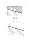 LOC DEVICE FOR PATHOGEN DETECTION WITH DIALYSIS, CHEMICAL LYSIS AND     PARALLEL NUCLEIC ACID AMPLIFICATION diagram and image